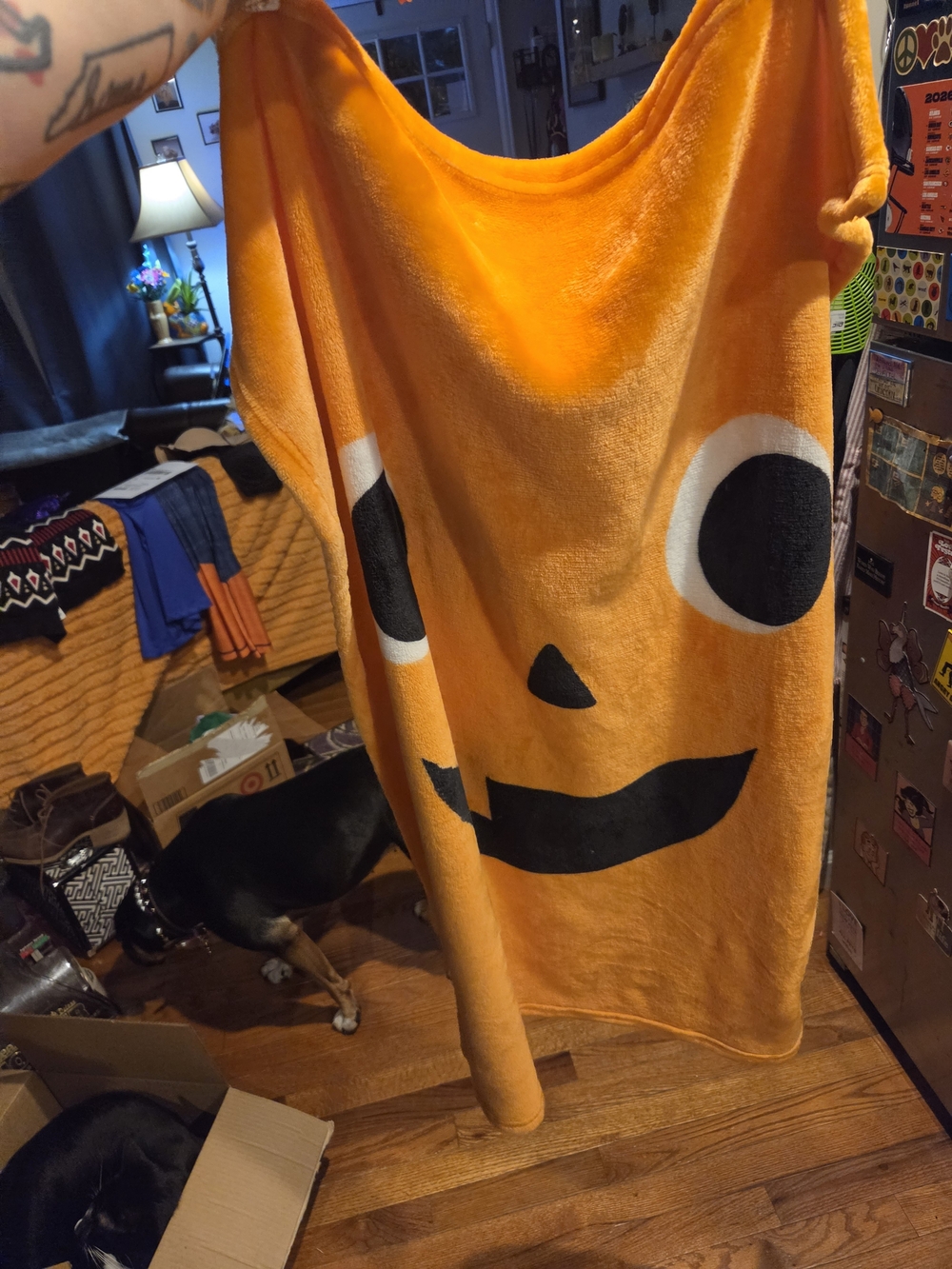 Orange Pumpkin Jack-o'-lantern Plush Blanket (Pet or Kids)
